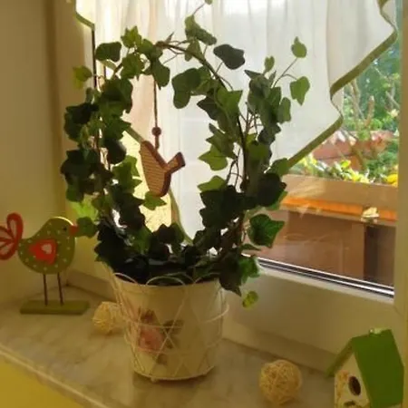 Fewo-dorfblick By Interhome Cranzahl