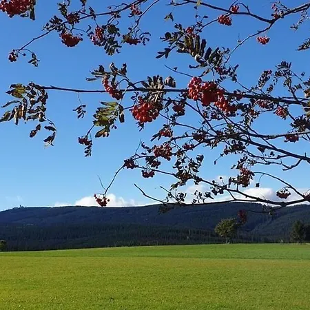 Fewo-dorfblick By Interhome Апартаменты