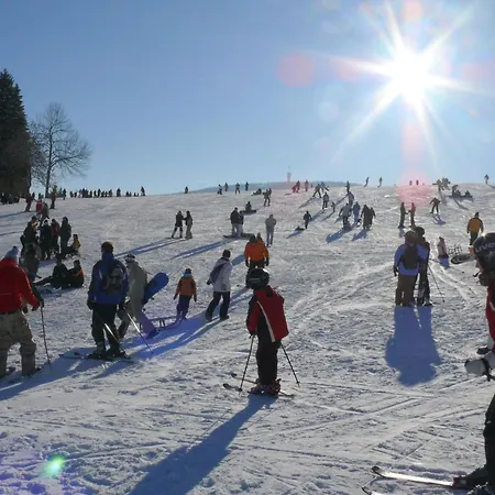 Fewo-dorfblick By Interhome Cranzahl