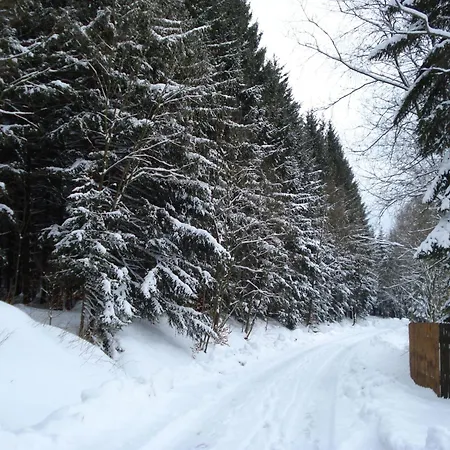 Fewo-dorfblick By Interhome Cranzahl