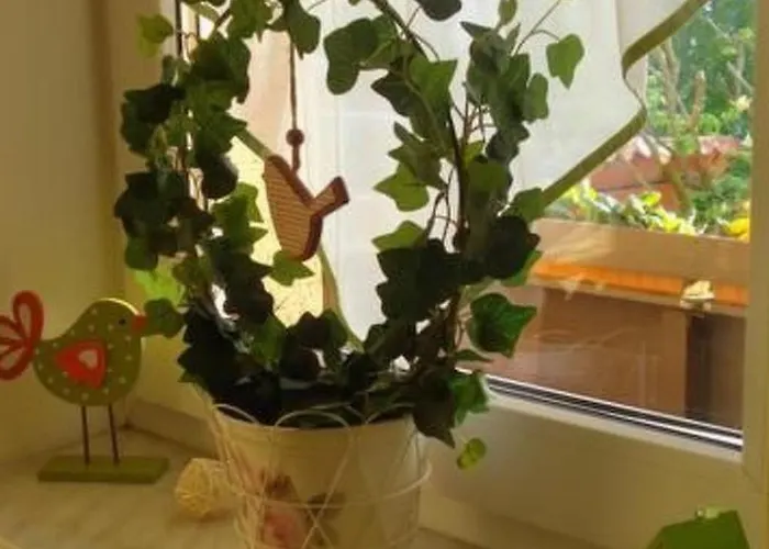 Fewo-dorfblick By Interhome Cranzahl