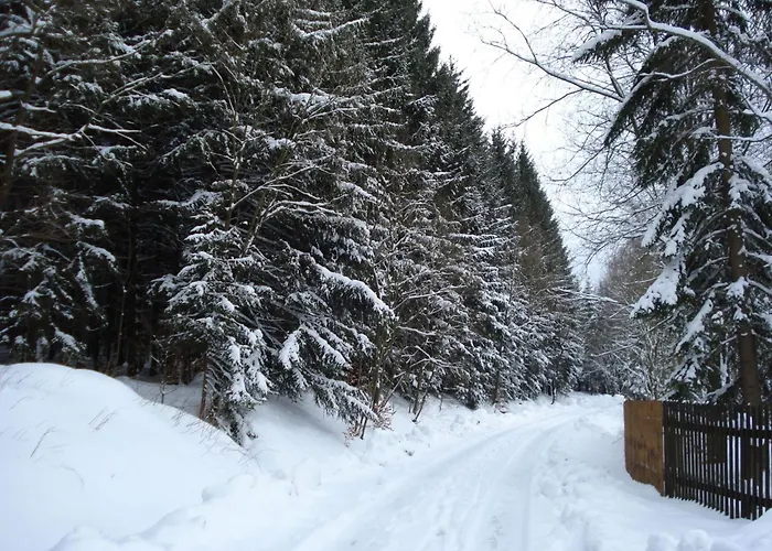 Fewo-dorfblick By Interhome Cranzahl